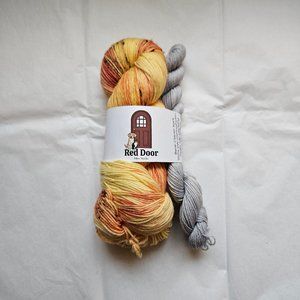 Yarn | Red Door Fiber Studio - Sock Set "Gotta Catch 'Em All"